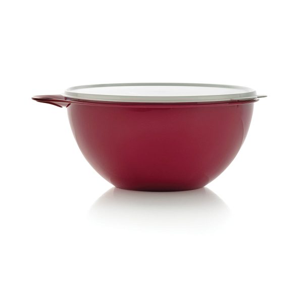 Tupper Ware Tupperware Thatsa® Medium Bowl | Airtight, Leakproof, 19-cups/4.5 L